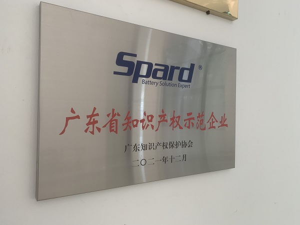 云顶集团3118新能源荣获2021年度广东省知识产权示范企业